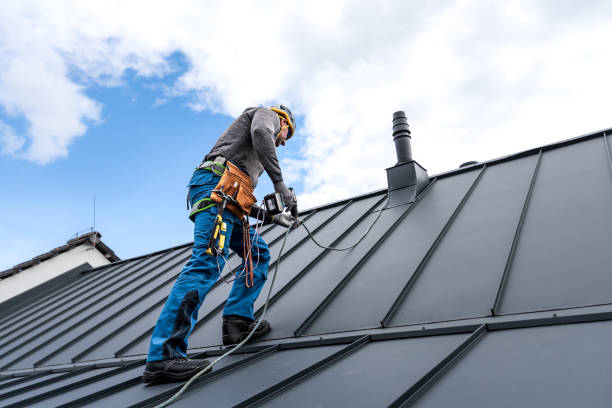 Best Solar Panel Roofing Installation  in Riverside, AL